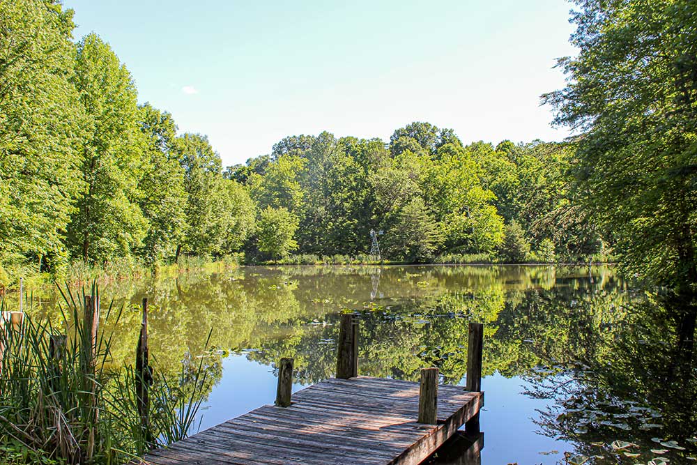 Kenbrook pond summer view